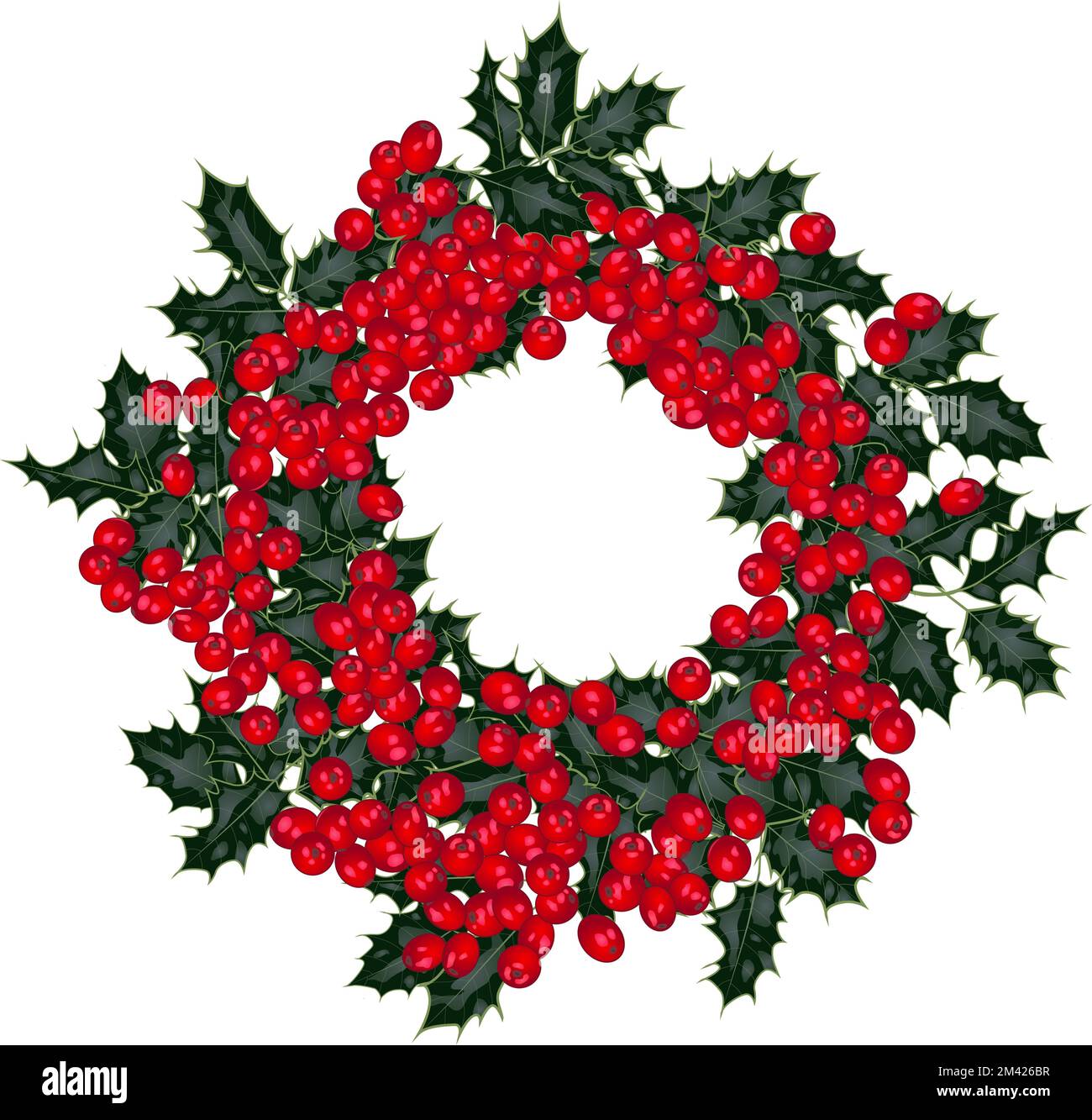Vector Christmas wreath with red berries on isolated white background ...