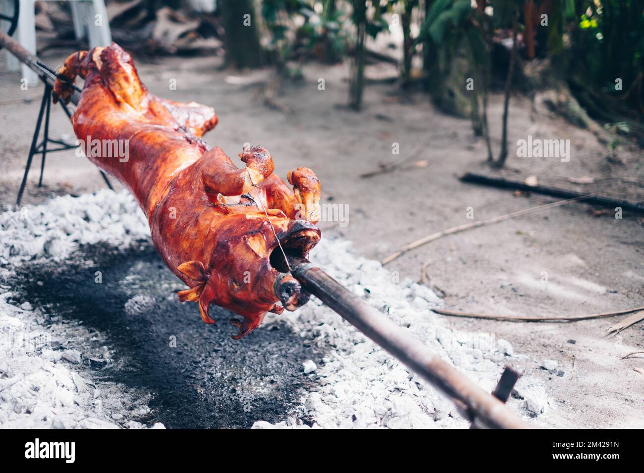 Slow cooking of the popular, all time favorite, delicious roasted crispy pig or Lechon Baboy under around burning charcoals using makeshift manual rot Stock Photo