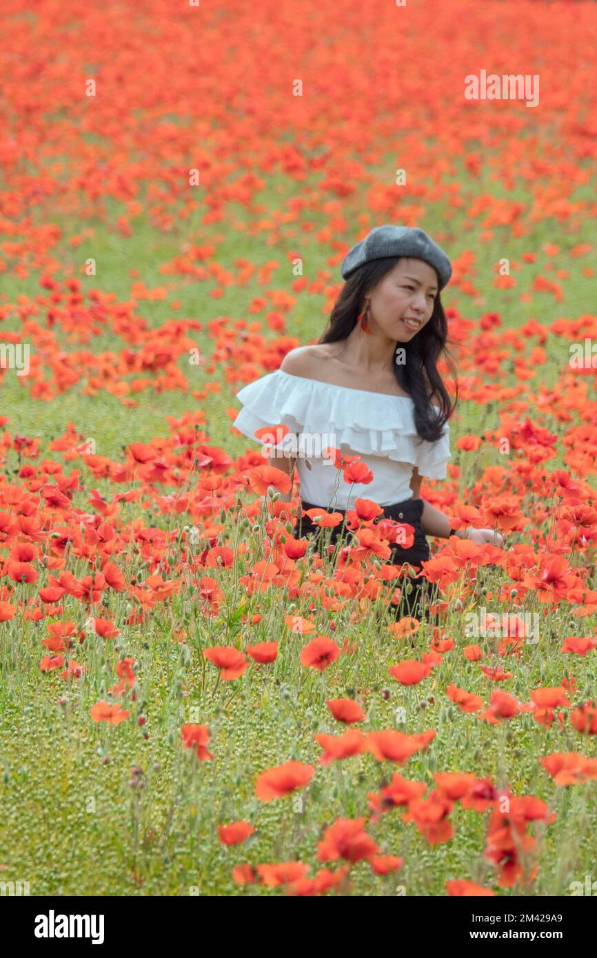Girl In A Poppy Field Stock Photo