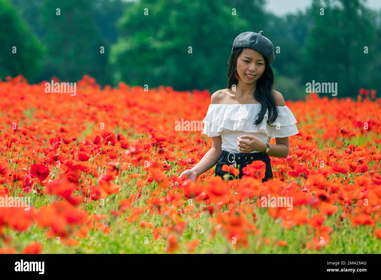 Girl In A Poppy Field Stock Photo