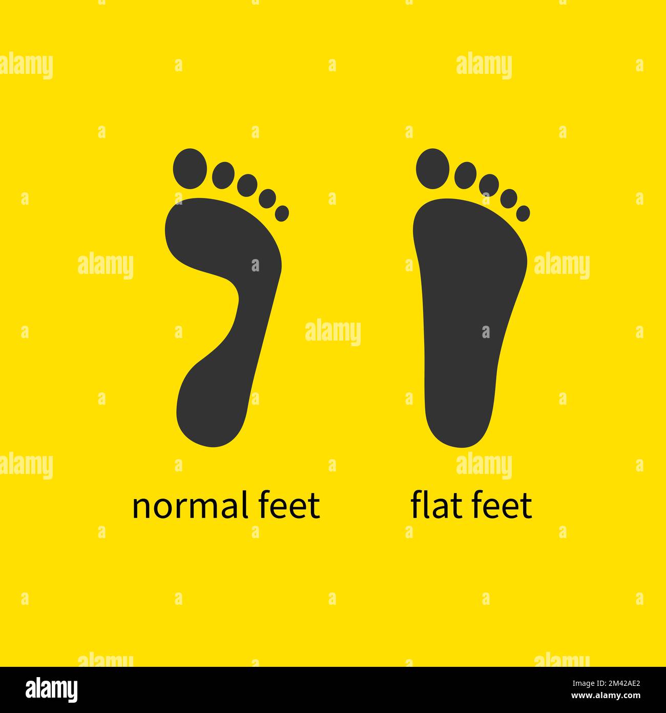 Flat feet and healthy foot logo. Flat icon Stock Vector