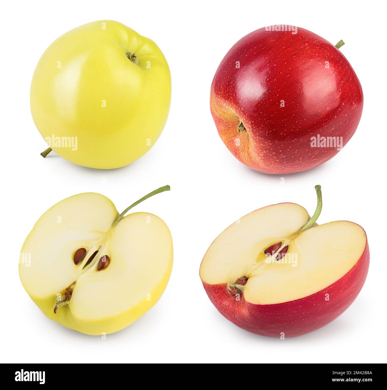 yellow and red apple isolated on white background with full depth of ...