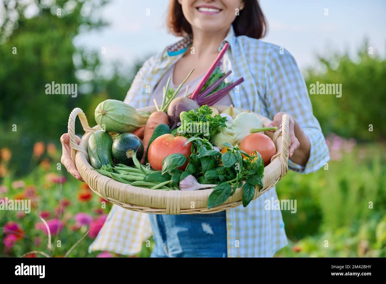 Close up basket of fresh raw organic vegetables in farmer hands Stock ...