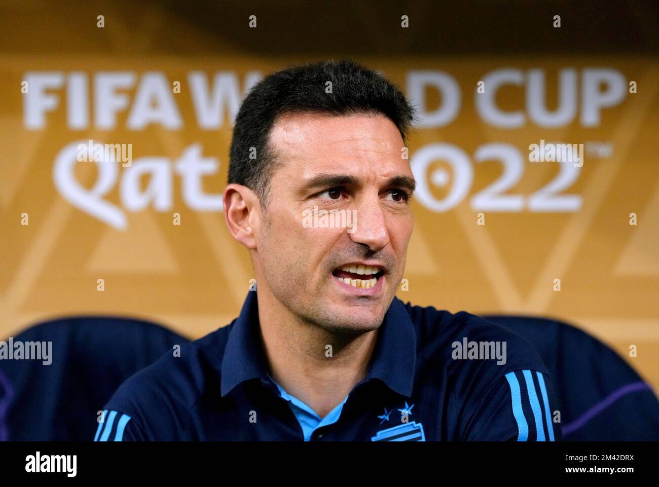 Argentina manager Lionel Scaloni ahead of the FIFA World Cup final at ...