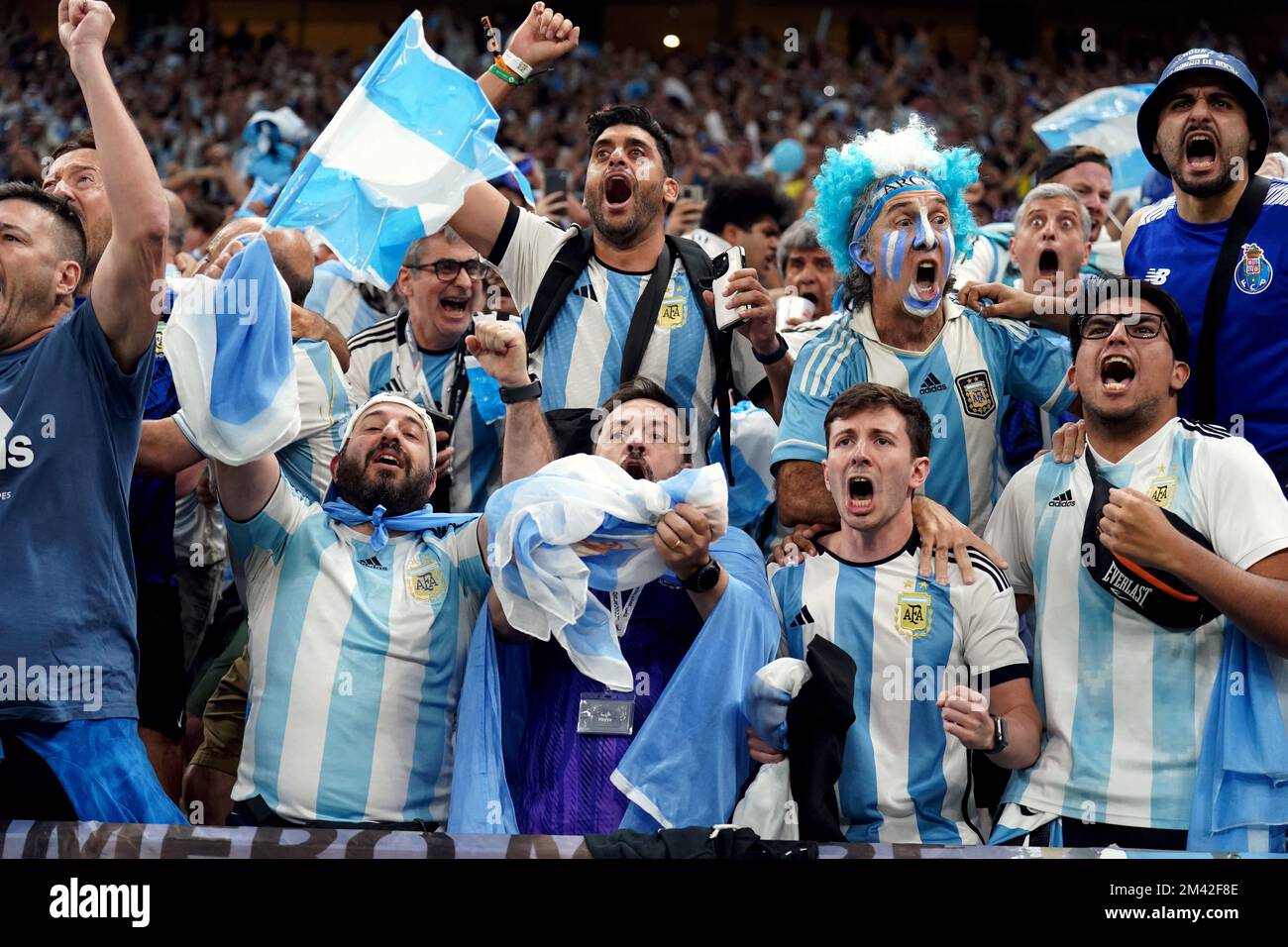 Argentina World Cup Fans Wallpaper