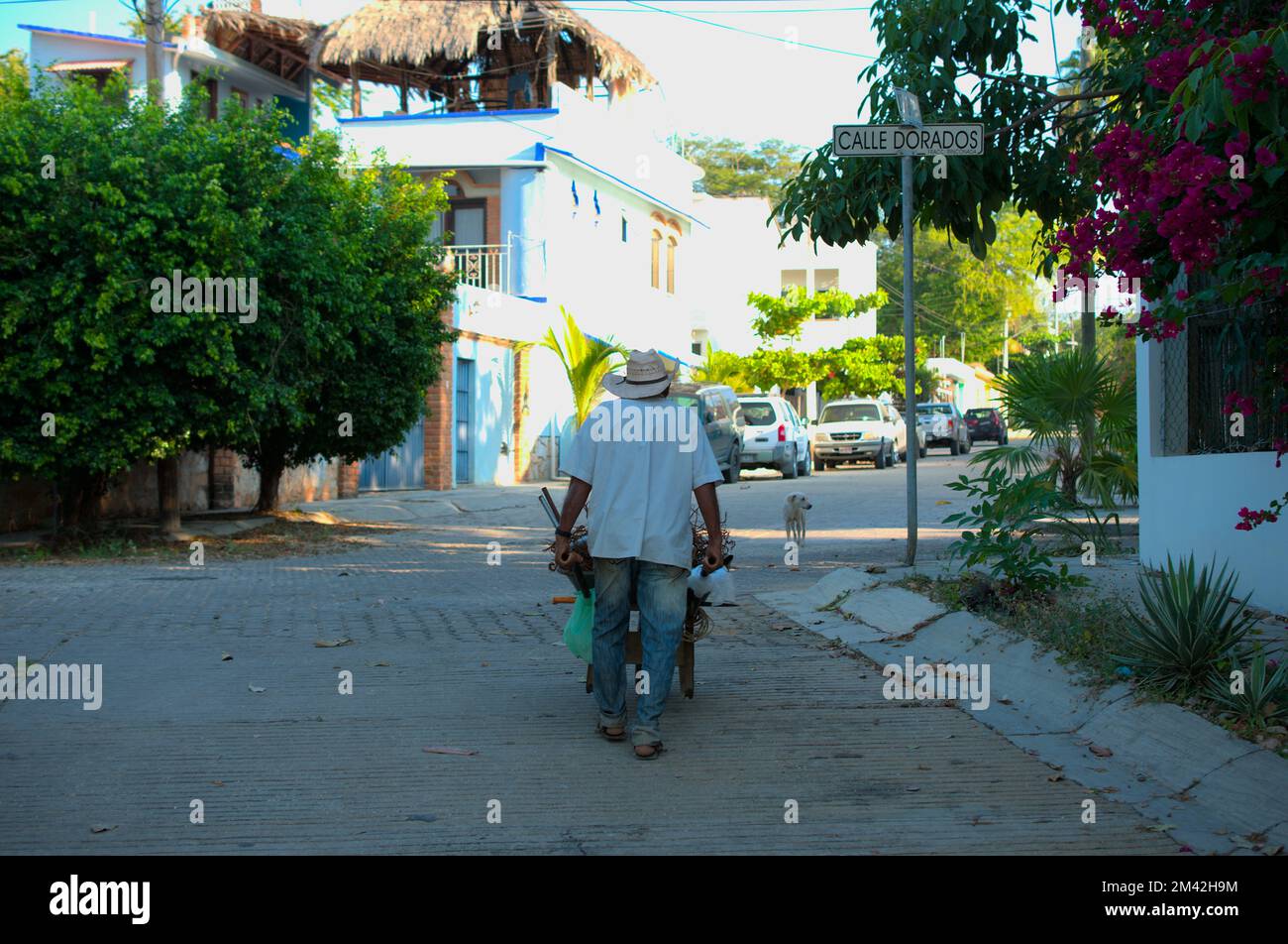 Old man collecting scrap with a wheelbarrow while a stray dog walks towards him in the streets of Puerto Escondido, Oaxaca Stock Photo