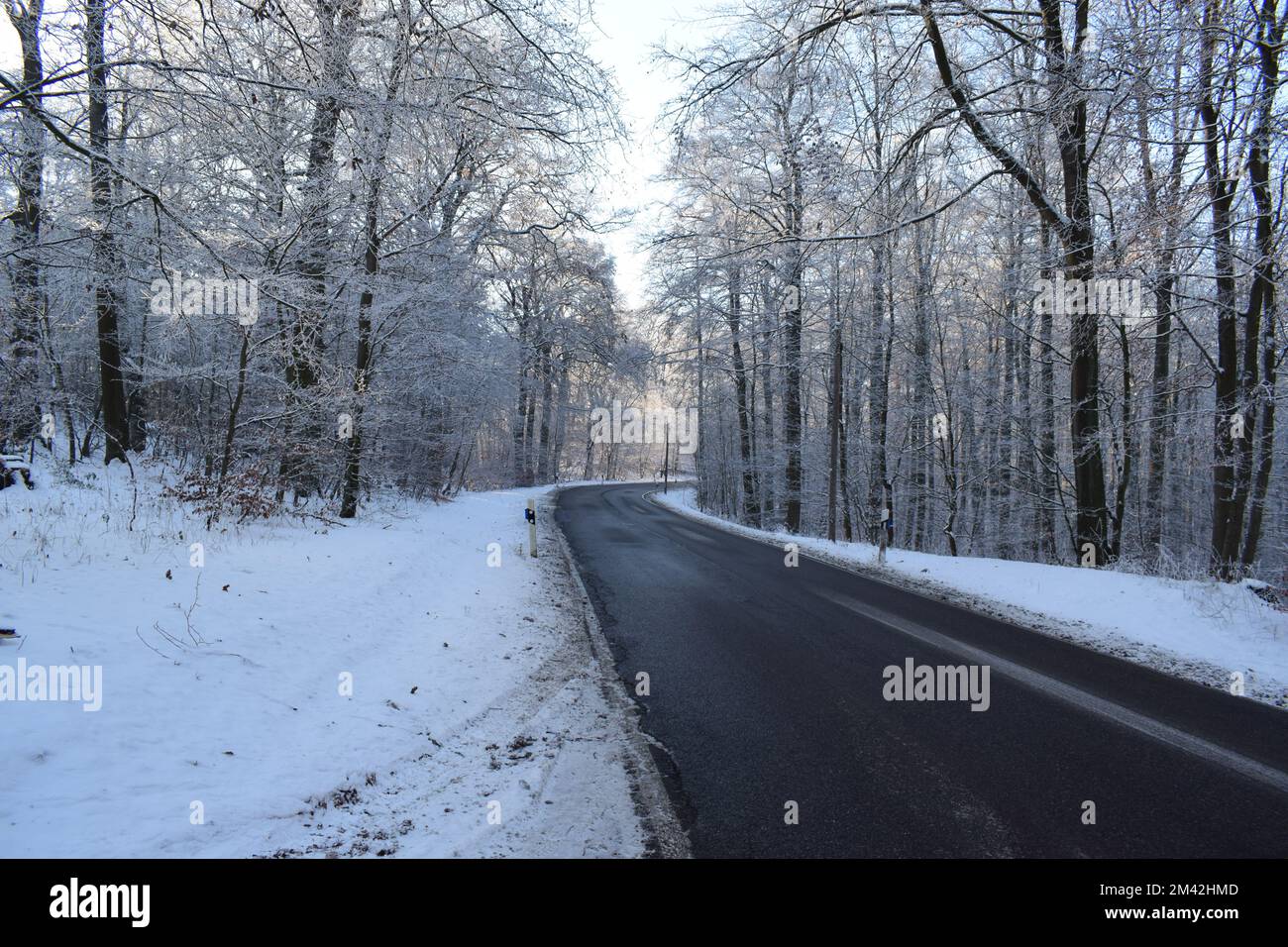 forest road in snowy winter Stock Photo - Alamy