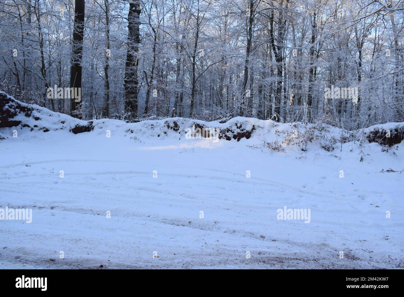 snow covered parking lot in the forest Stock Photo Alamy