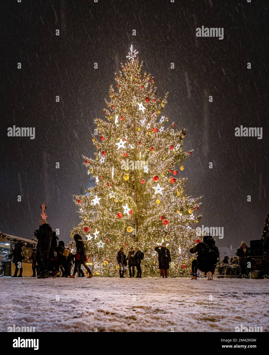 Christmas tree in the old town square, Prague, Czech Republic Stock