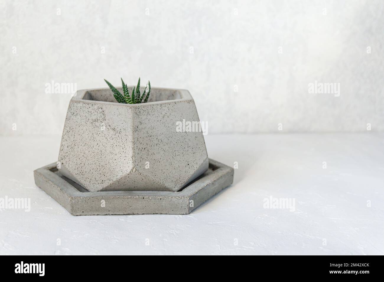 Concrete planter with small Haworthia succulent plant. DIY cement pentagon flower pot. Copy space for text. Stock Photo
