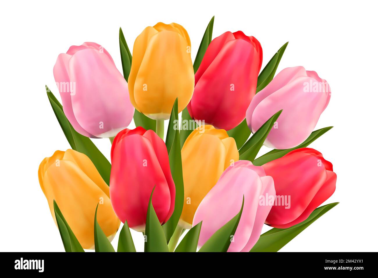 Bouquet of multi-colored tulips on a white background. The concept of mother's day, women's day. Vector image. Stock Vector