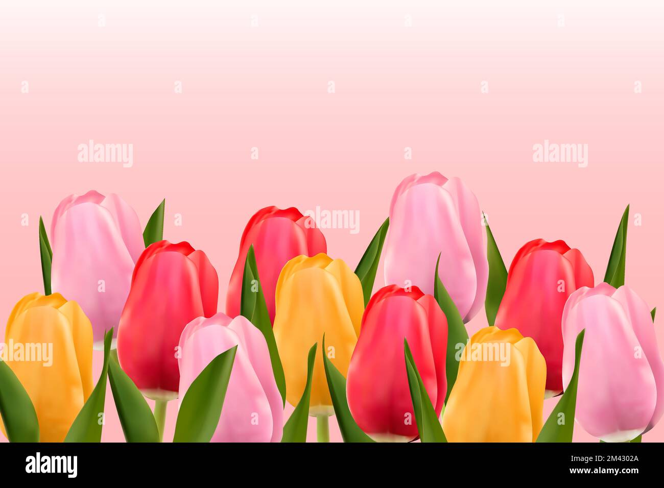 Multicolored tulips on a light pink background with copy space. Vector image. Stock Vector