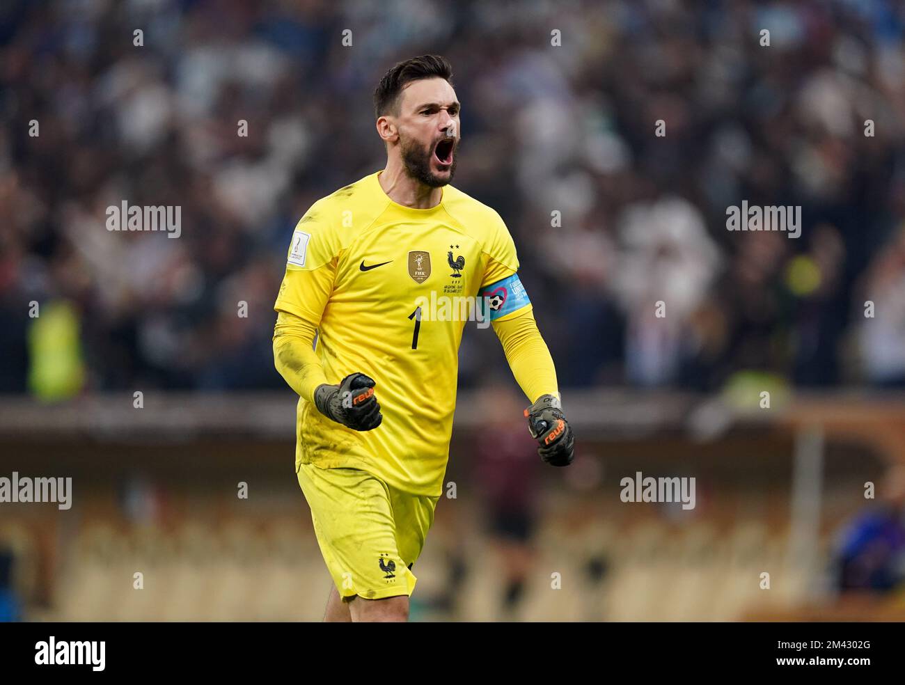 France goalkeeper Hugo Lloris celebrates during the FIFA World Cup