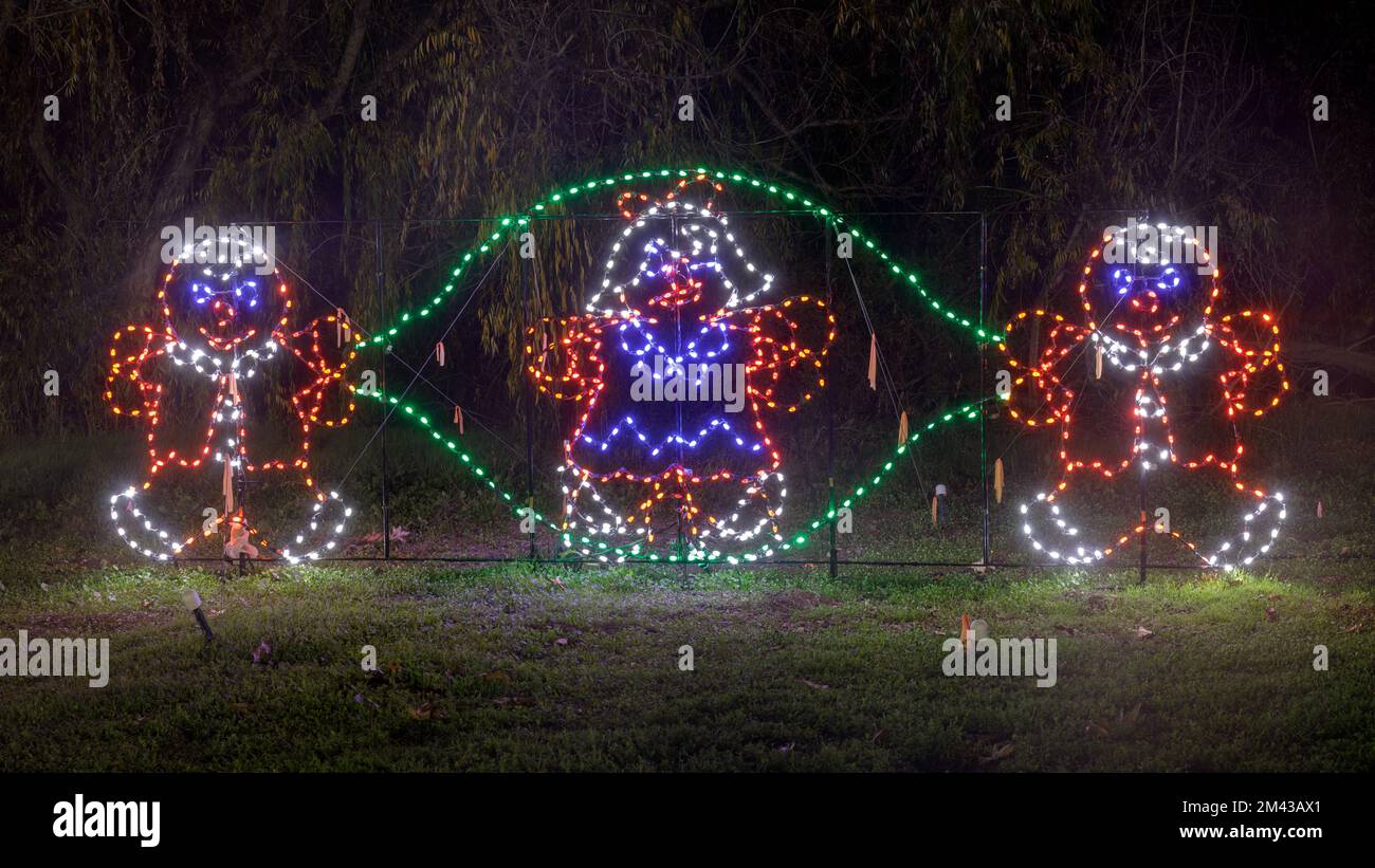 Animated Kids Playing Jump Rope in Christmas Light Show at Fantasy of