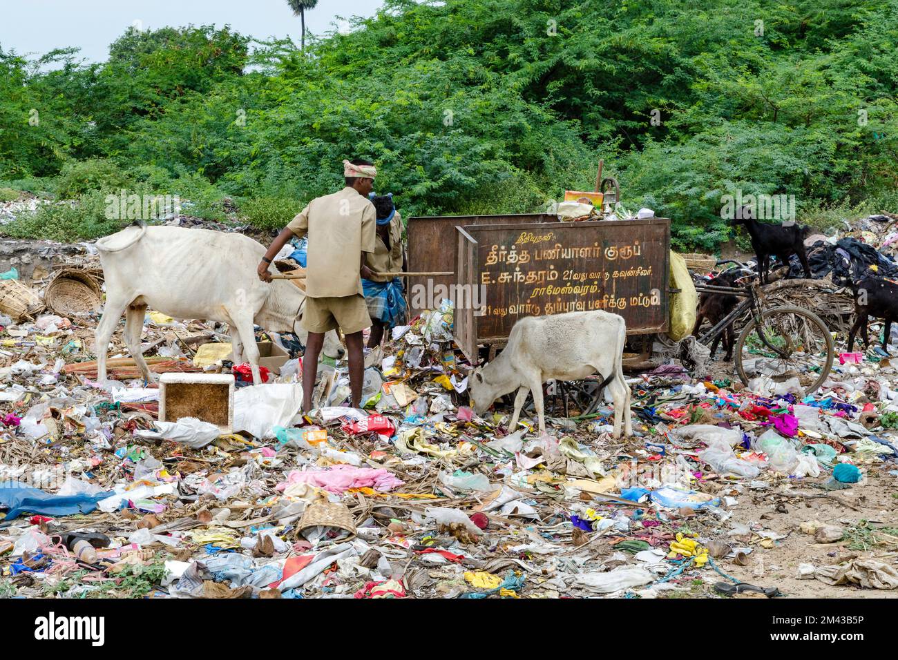 Garbage is a big problem all over India, espacially at highly fequented places like pilgrimage-sites Stock Photo