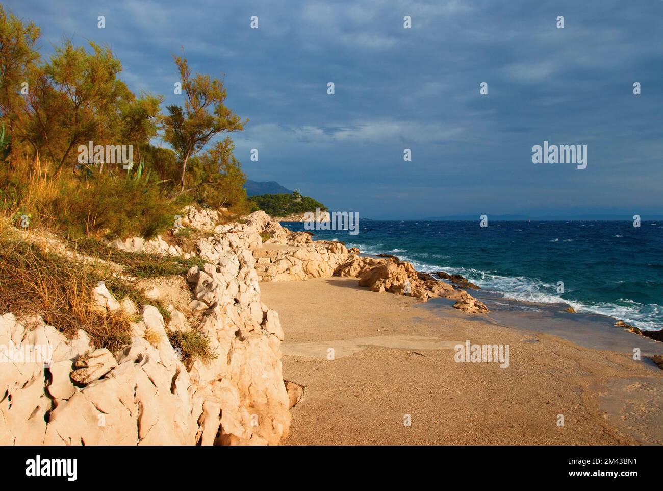 Beautiful rocky coast with Pine trees on Makarska Riviera in Croatia ...