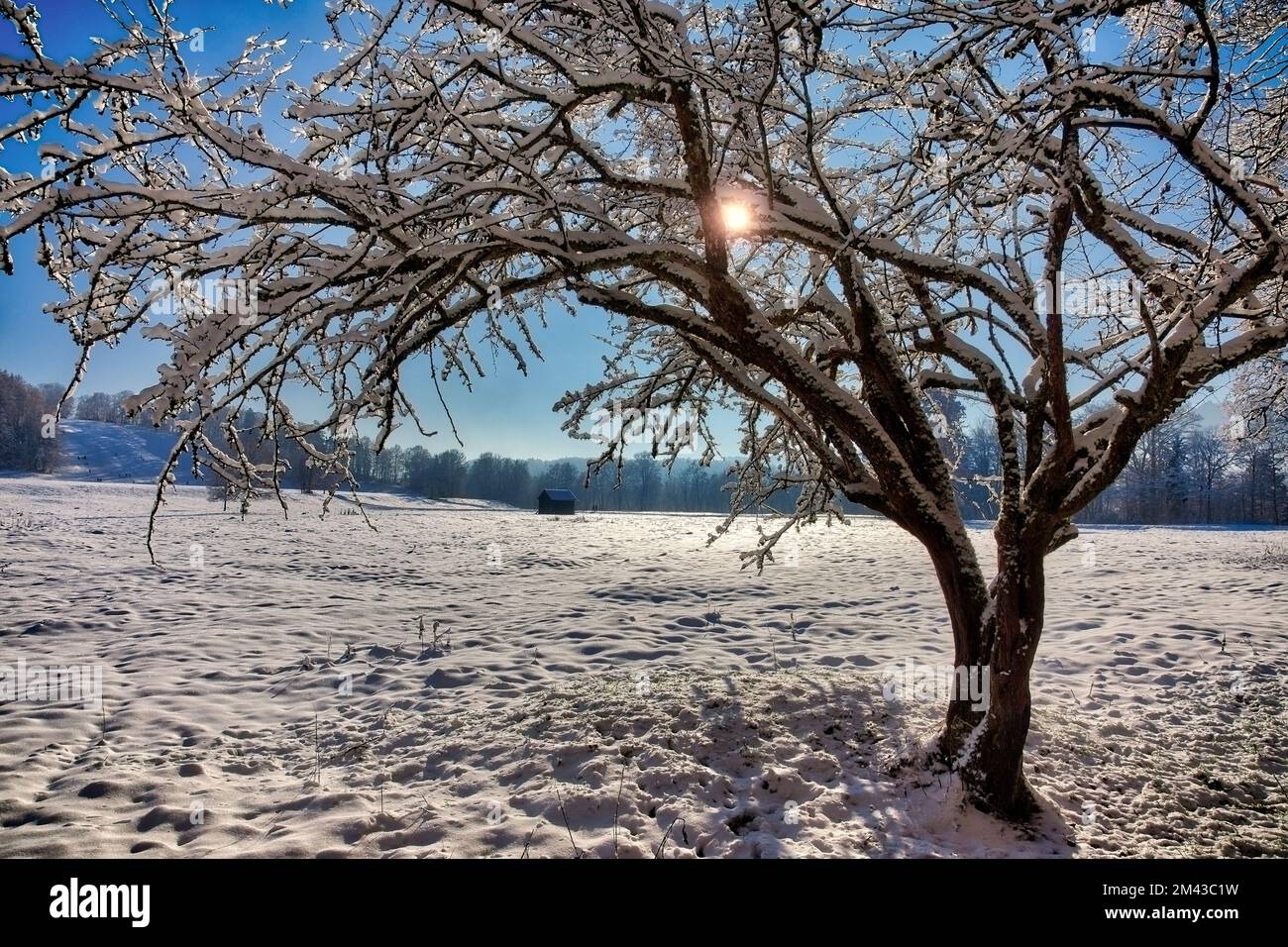 DE - BAVARIA: On a crisp winter's day below the Kalvarienberg at Bad Toelz, Oberbayern Stock Photo