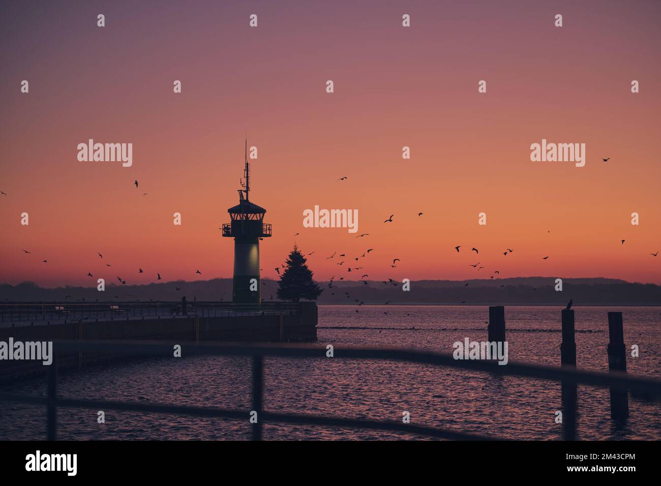 seagulls flying at the nordermole in Travemunde before sunrise. High quality photo Stock Photo