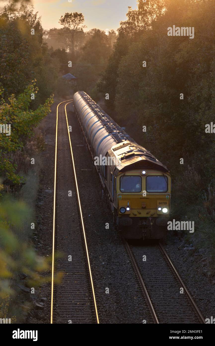 GB Rail Freight class 66 locomotive 66739 hauling the cement train that derailed at Carlisle after departure from the cement works passing Gisburn Stock Photo