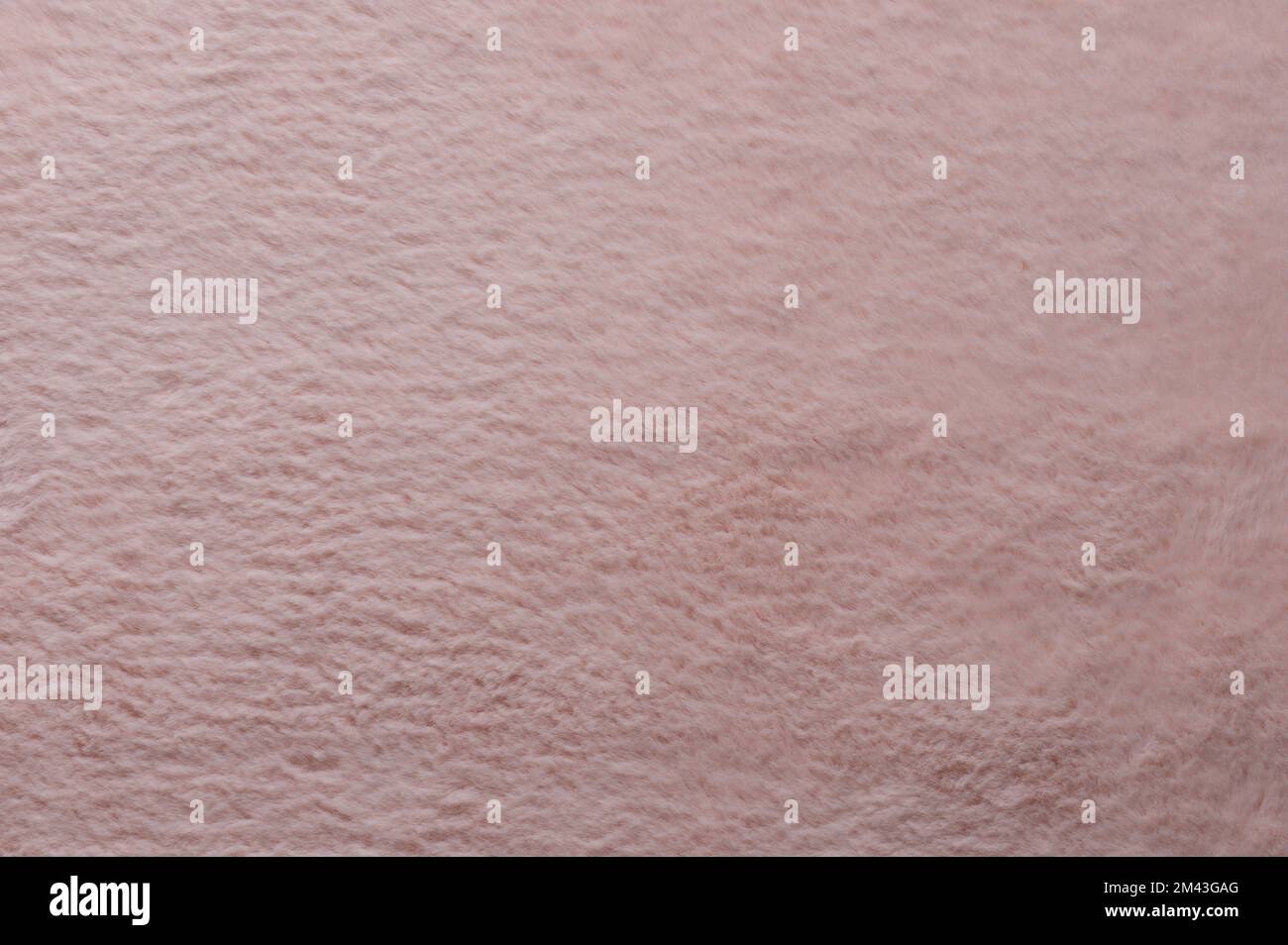 Pink soft fluffy texture background macro close up view Stock Photo