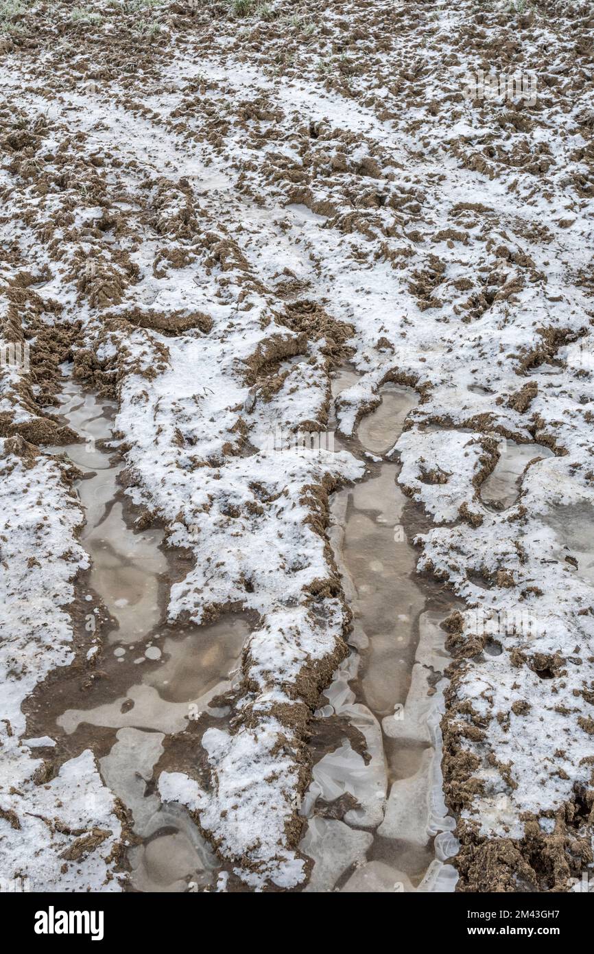 Tire / tyre tracks in a muddy field covered by winter frost. For UK
