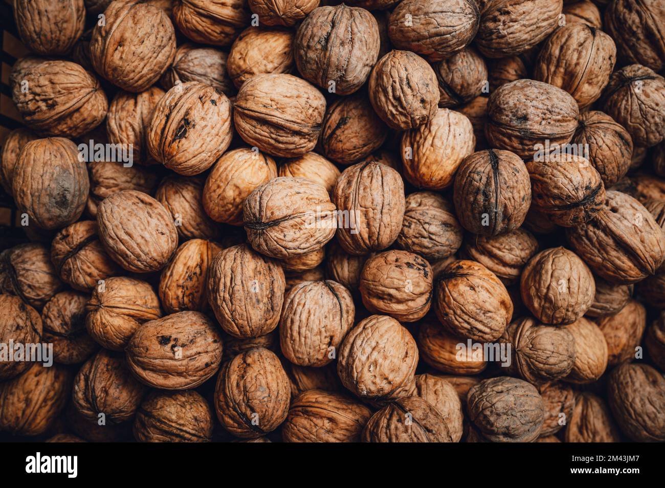 Walnuts, top down view of a large number of nuts. Stock Photo