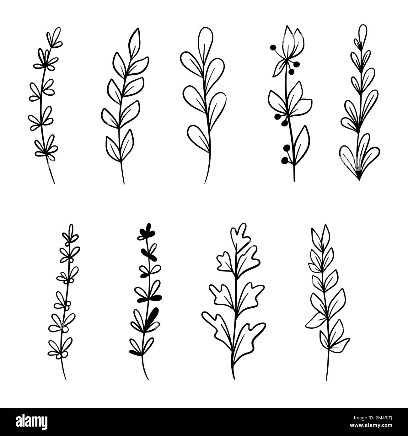 Hand drawn doodle vector leaves and branches. Collection of tree Floral ...