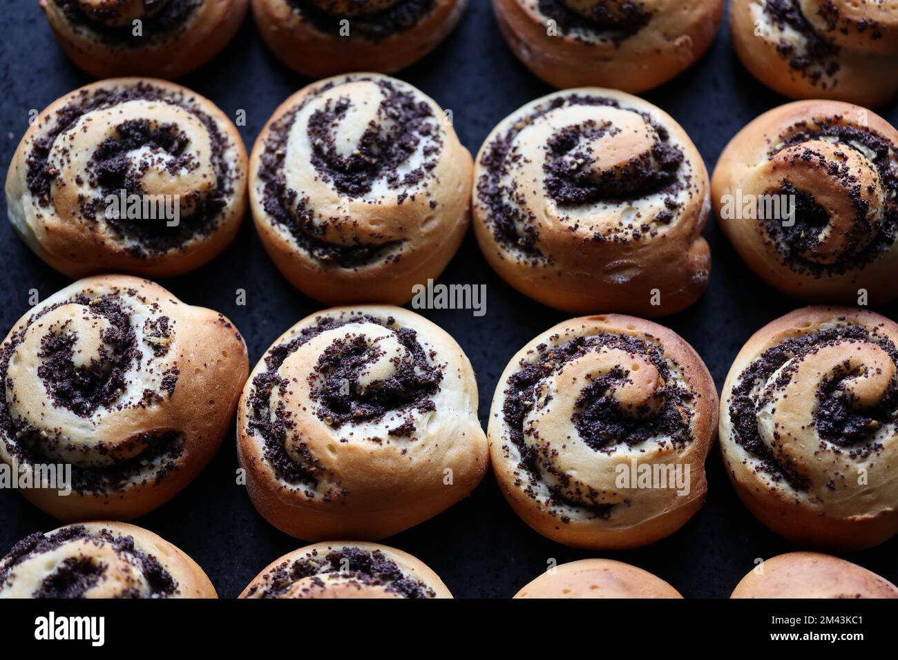 Mohnschnecken, Poppy seed rolls Stock Photo - Alamy