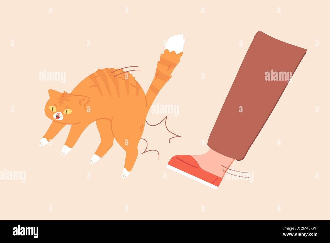 Kicked cat. Cruel man kick kitten with leg out of house, animal