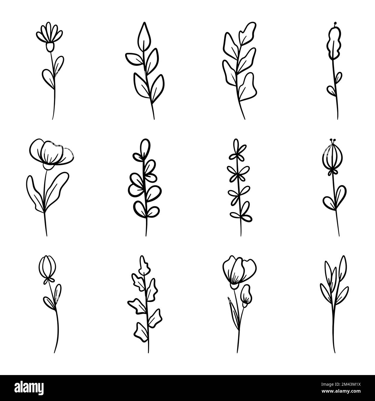 Set of Hand drawn doodle vector leaves and branches. Floral, plant ...