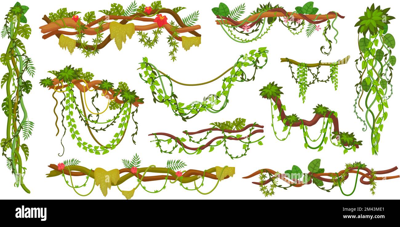 Jungle creepers. Cartoon creeper plant, tree branch hanging vines