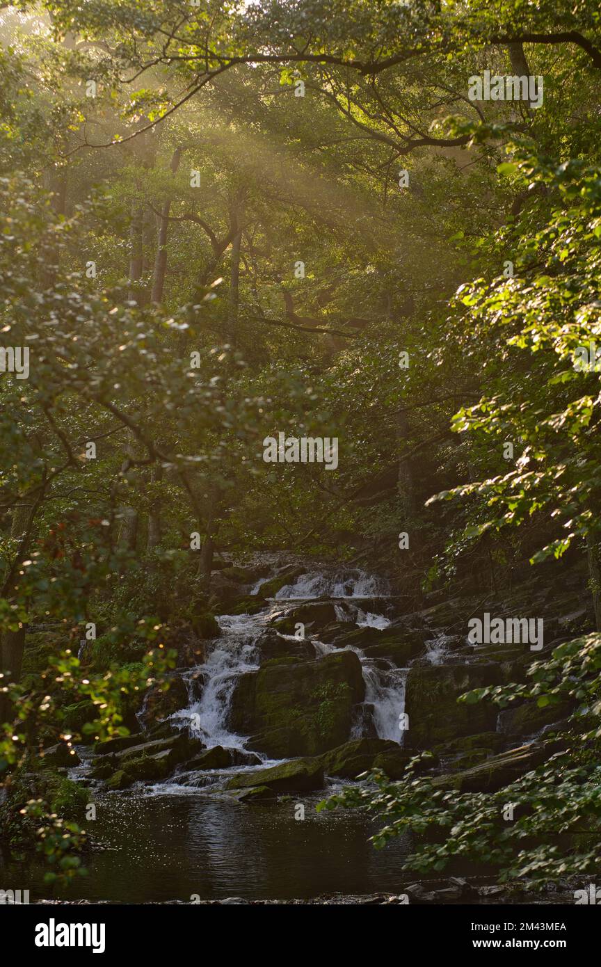 A vertical shot of a small waterfall in the forest and sun rays coming ...