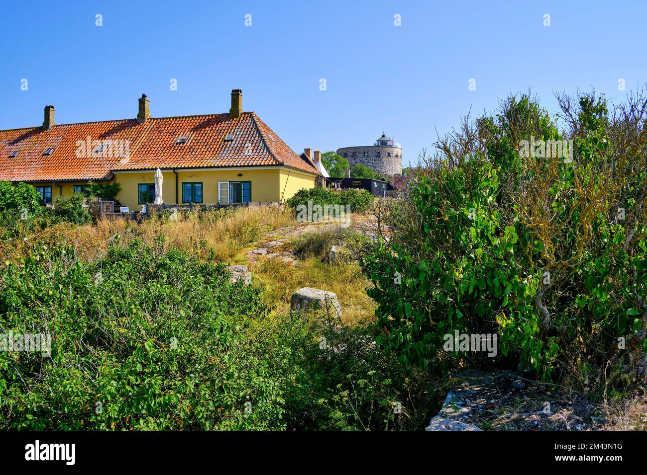 Out and about on the Ertholmen islands, wildly sprawling vegetation and historic structures on Frederiksö, Ertholmene, Denmark, Scandinavia, Europe. Stock Photo