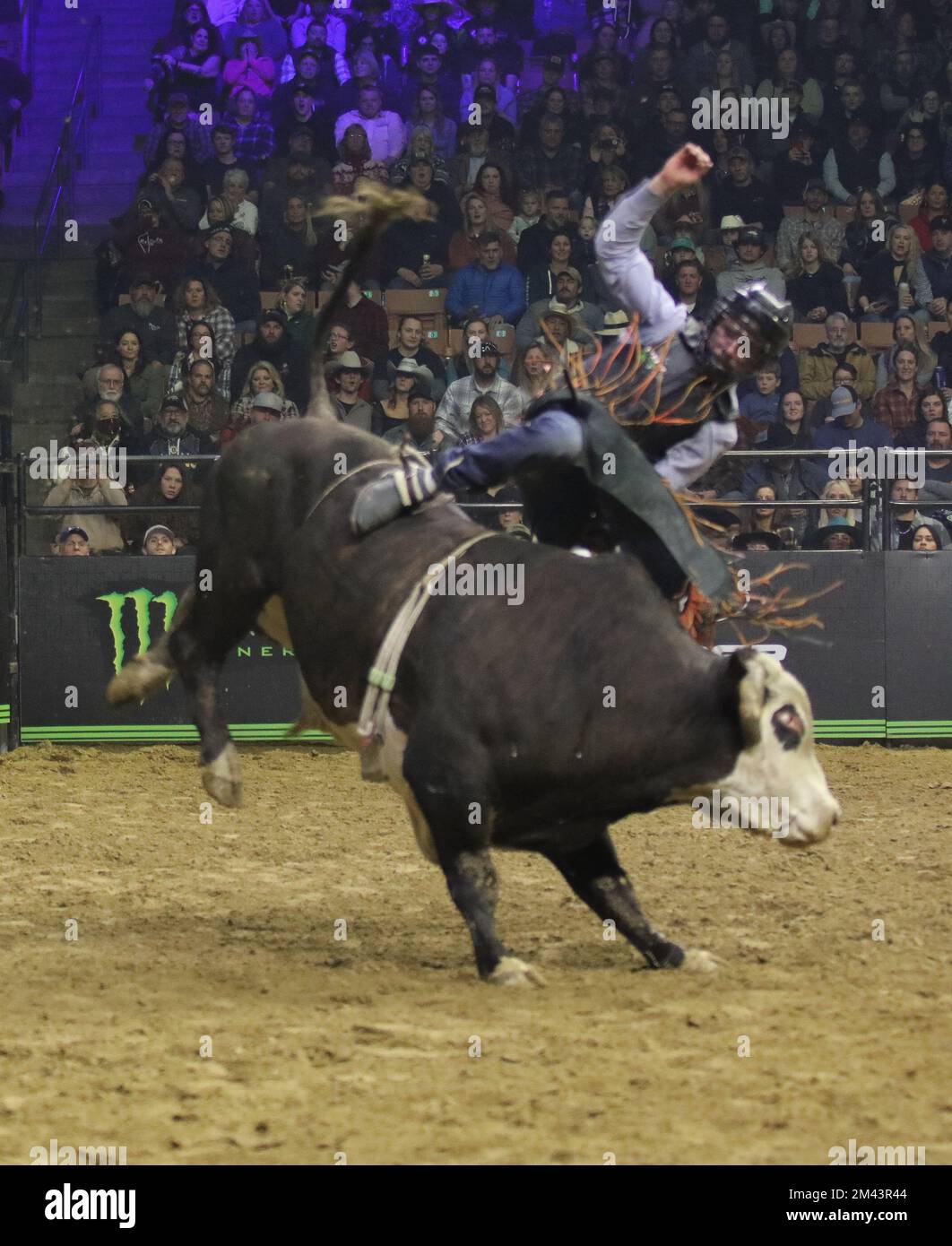 Manchester, New Hampshire, USA. 17th Dec, 2022. PBR Unleash the Beast