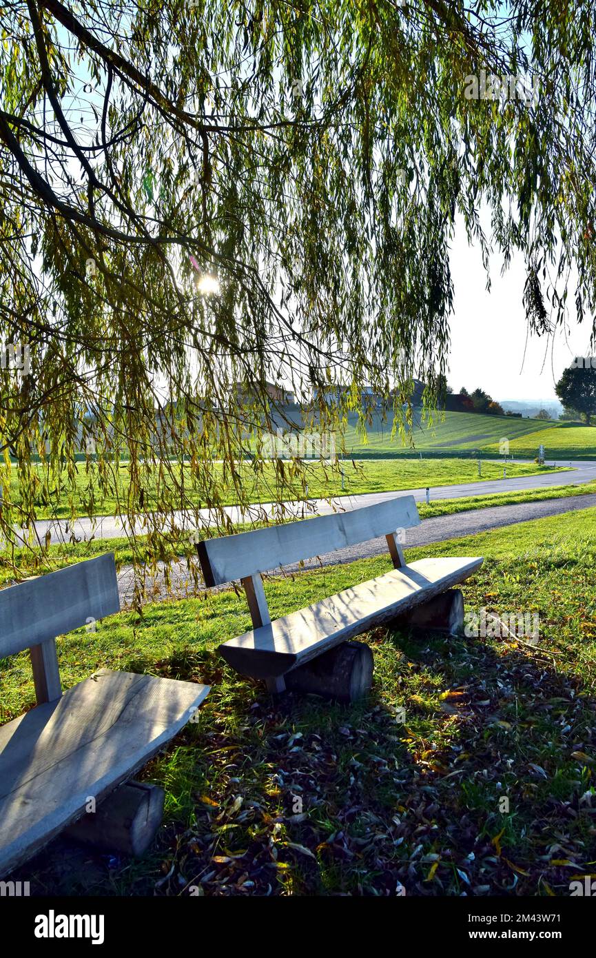 Shot park benches in hi-res stock photography and images - Alamy