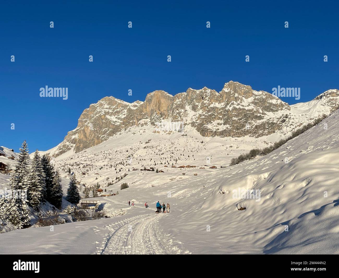 Family tobogganing in wonderful winter landscape in Partnun. Praettigau, Graubuenden, Switzerland. Stock Photo