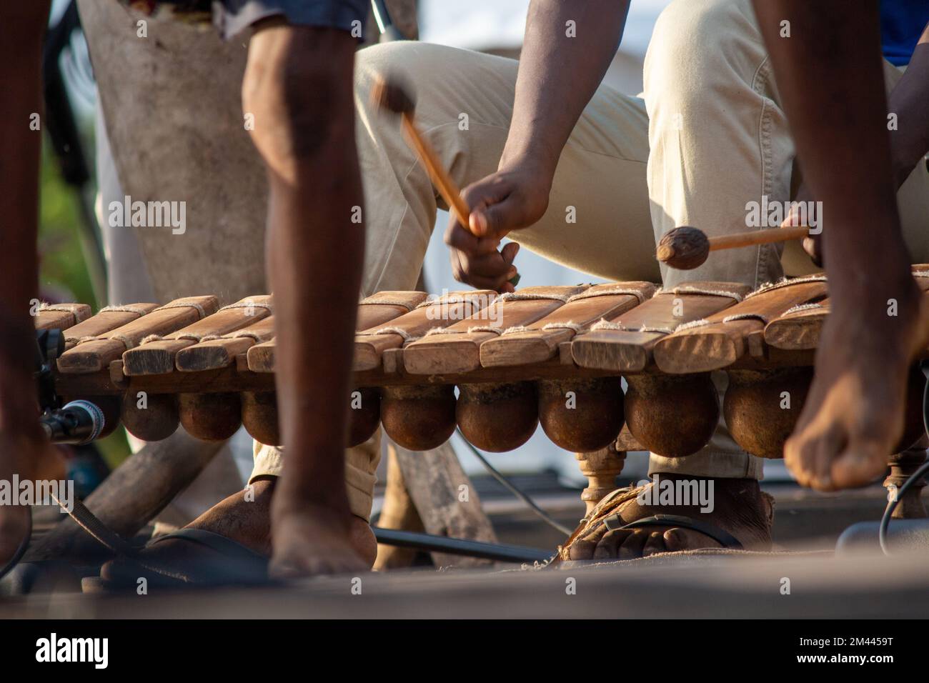 People dancing to traditional cultural heritage Mozambican wood xylophone like instrument known as timbila or mbila played with rubber drum sticks Stock Photo