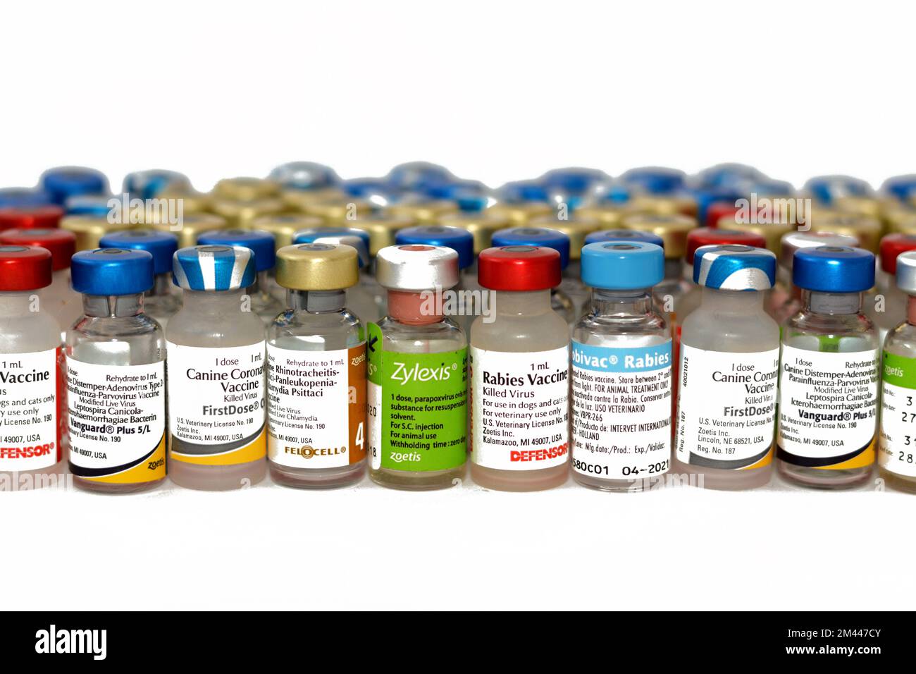 Cairo, Egypt, December 17 2022 Background of various and different