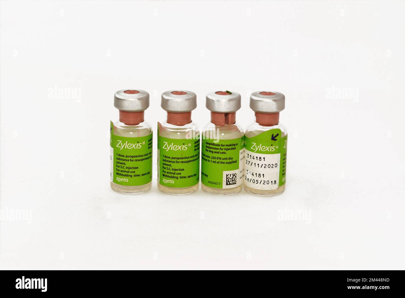 Cairo, Egypt, December 17 2022: Zylexis vaccine for prevention and treatment of multiple diseases for cats and dogs, Parapox ovis Virus Immunomodulato Stock Photo