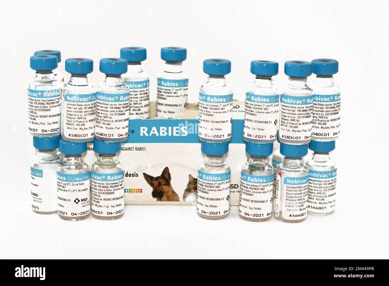 Cairo, Egypt, December 17 2022: Nobivac Rabies stable inactivated, adjuvanted vaccine against Rabies that offers complete protection administered for Stock Photo