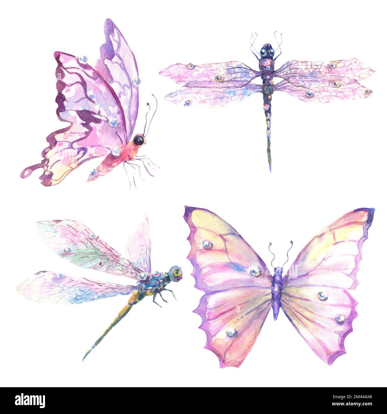 Watercolor Set With Romantic Flying Dragonflies And Butterflies On watercolor-set-with-romantic-flying-dragonflies-and-butterflies-on