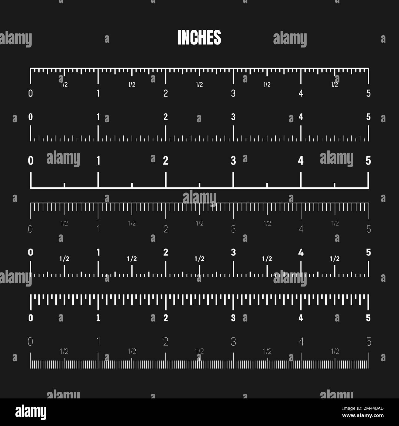 Realistic white inch scale for measuring length or height. Various