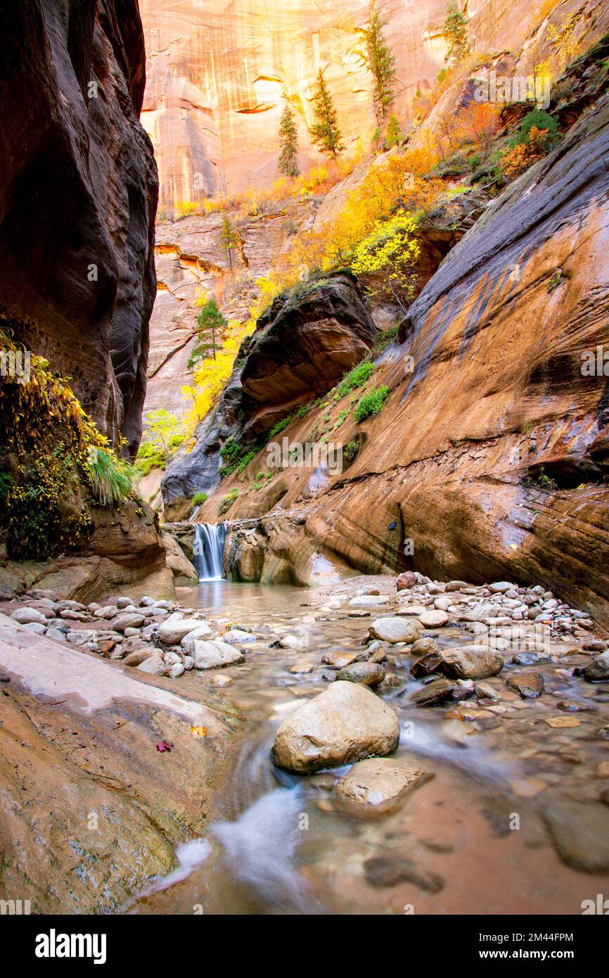 Veiled Falls in Orderville Canyon Zion National Park, Utah Stock Photo