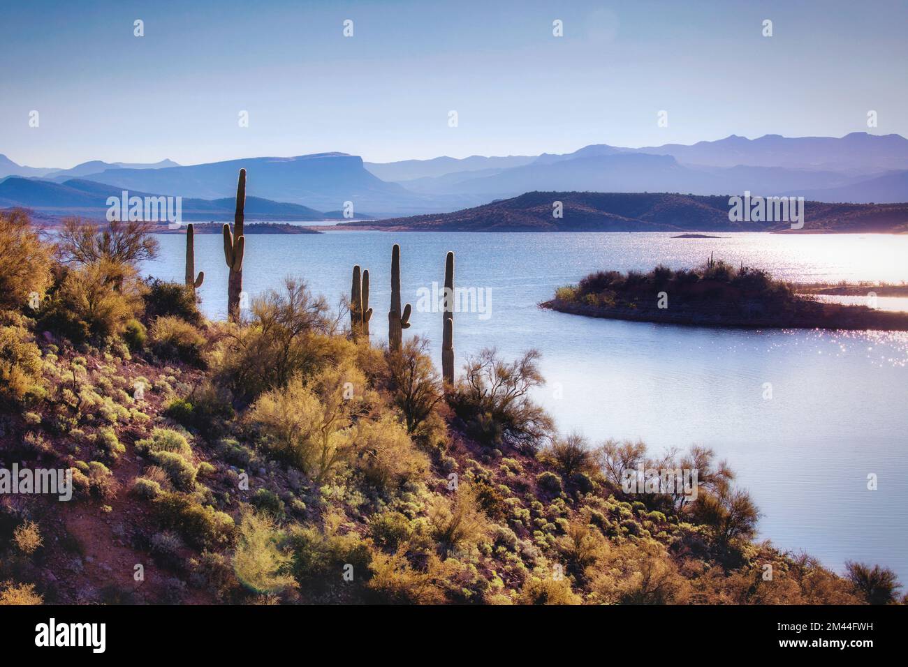 The Sonoran Desert runs to the edges of Theodore Roosevelt Lake in Arizona. Stock Photo