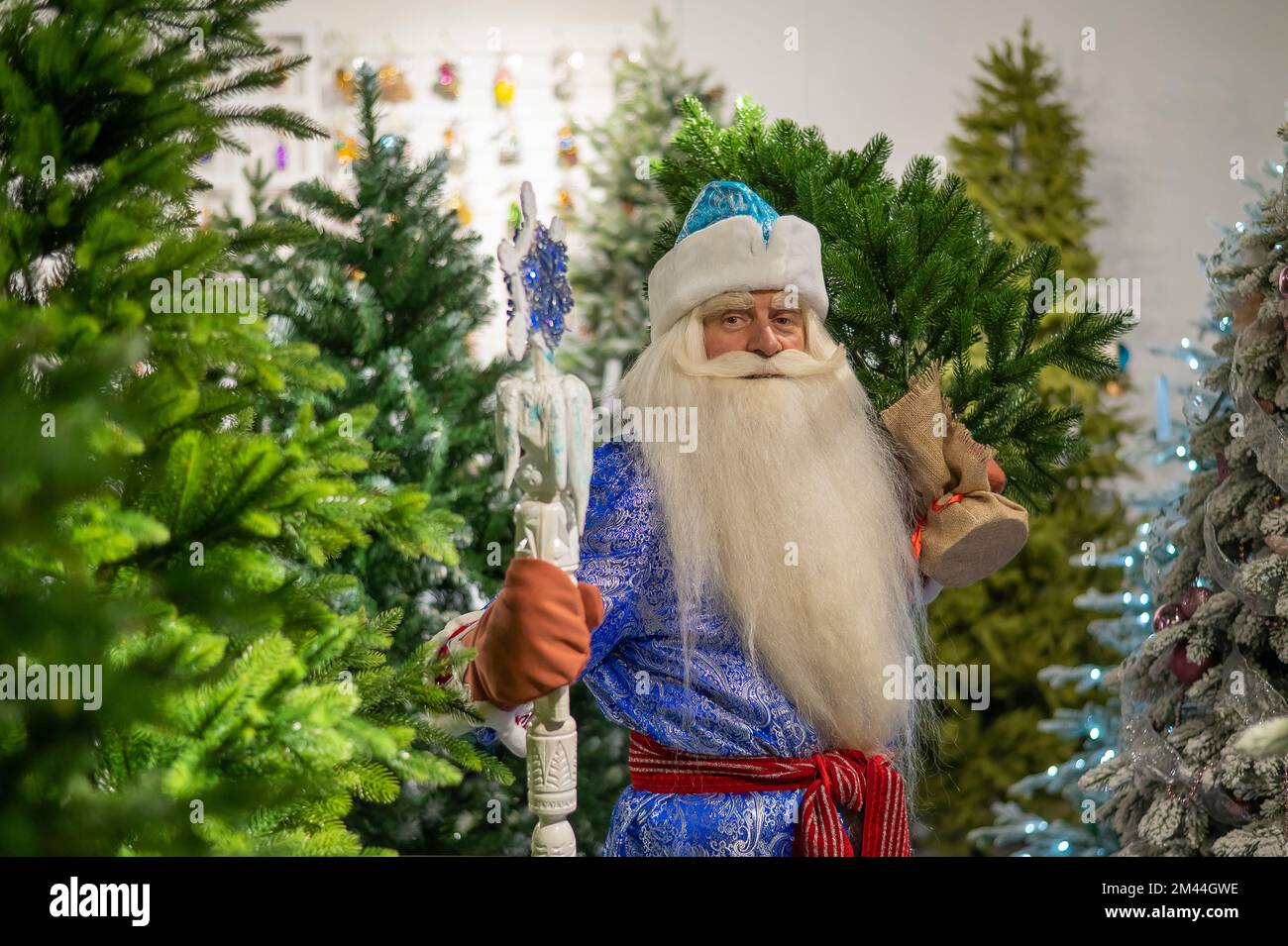 Russian Santa Claus with a staff in a store of artificial Christmas