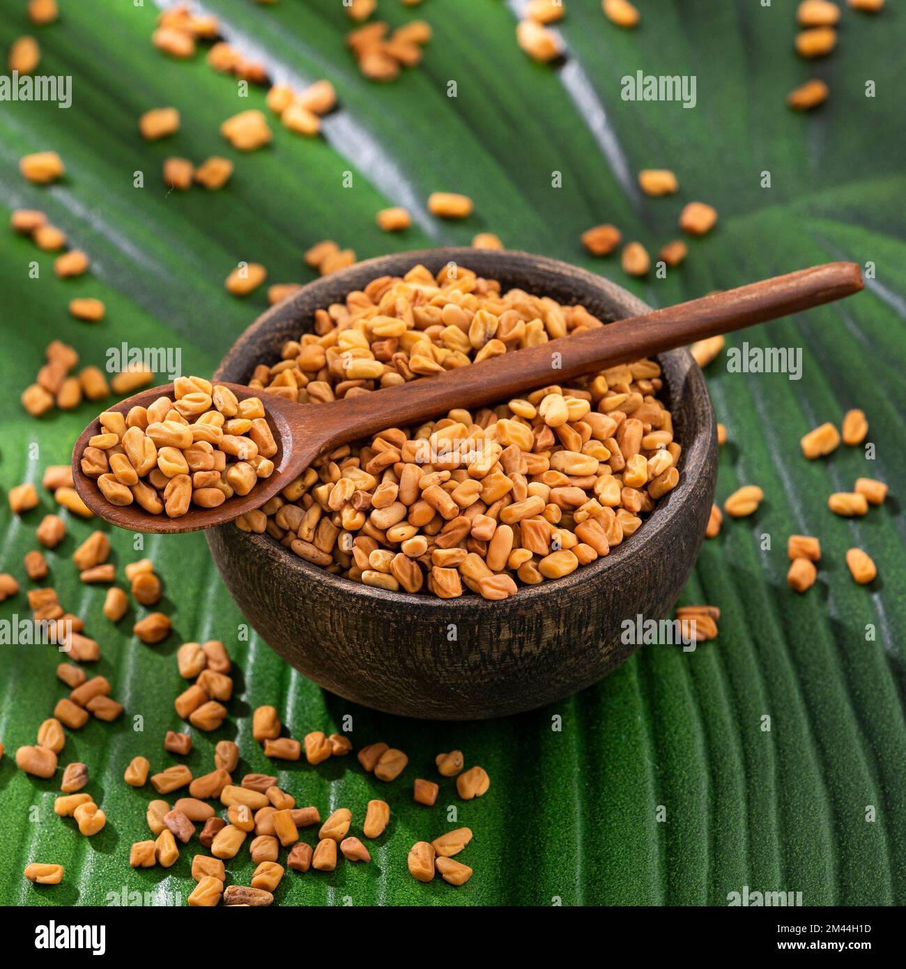Organic fenugreek seeds in the bowl. Trigonella foenum-graecum Stock Photo