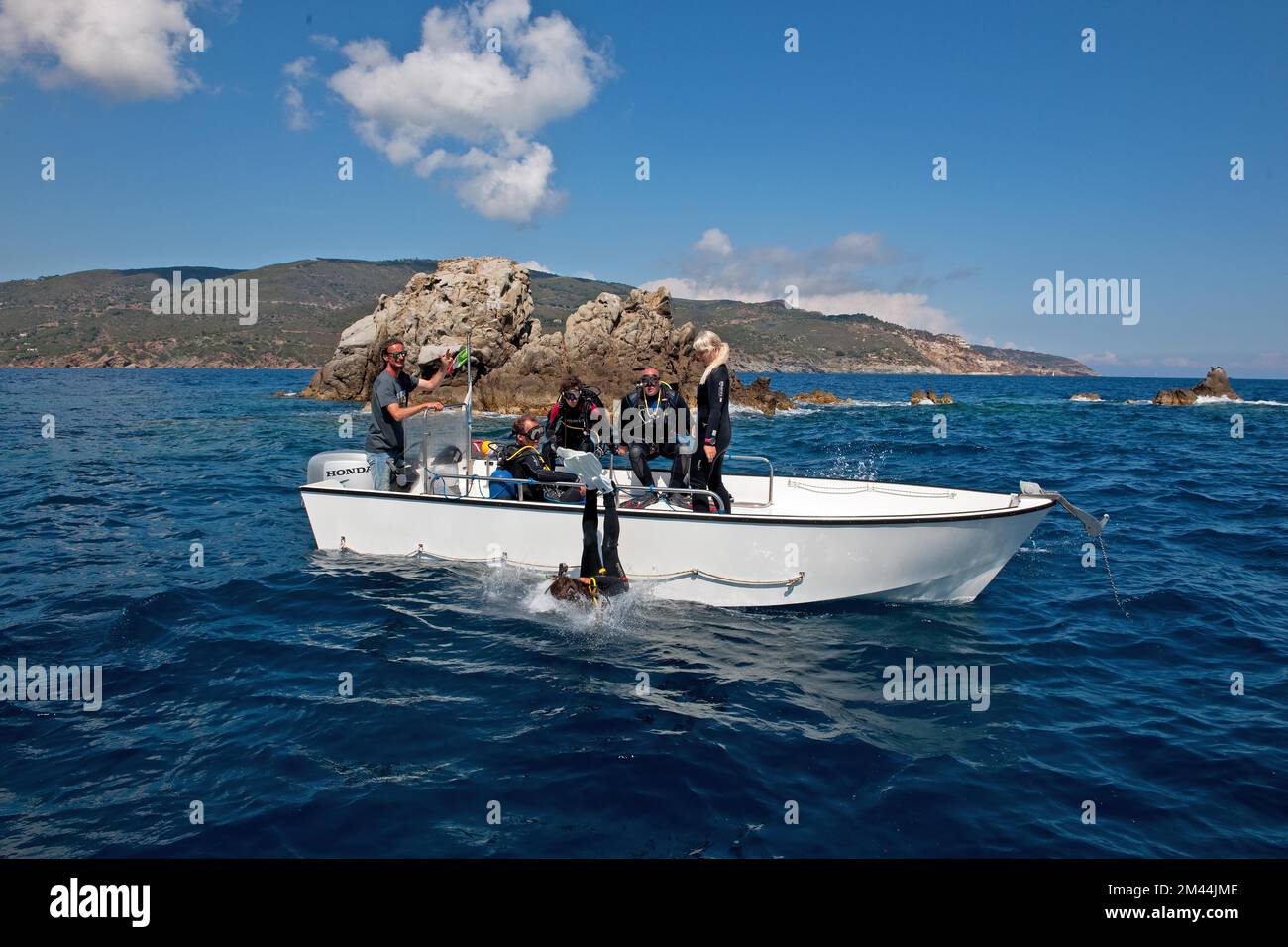 Diving backwards into the sea hires stock photography and images Alamy