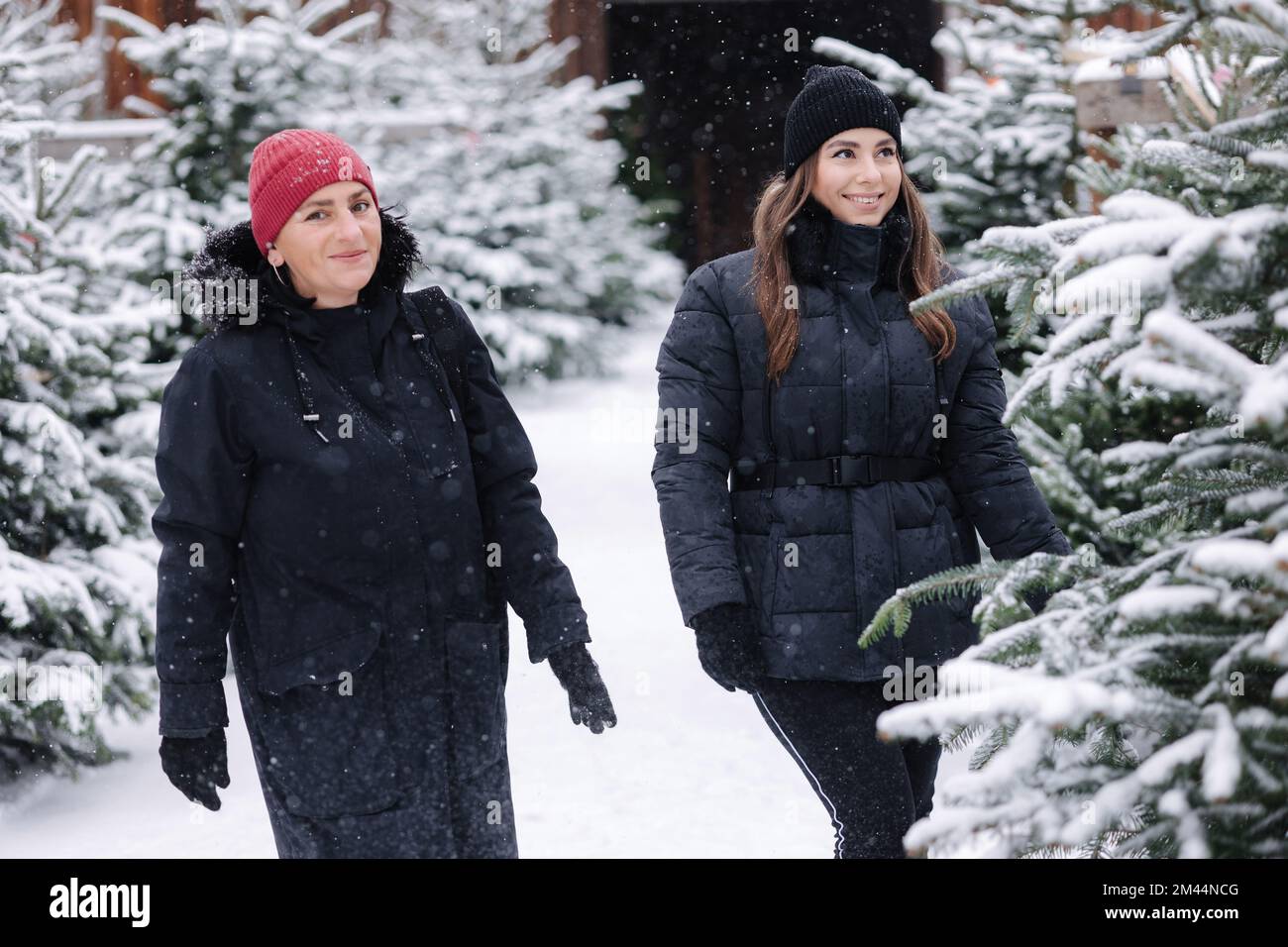 Portrait of mom and daughter choose fir tree for Christmas holidays Stock Photo