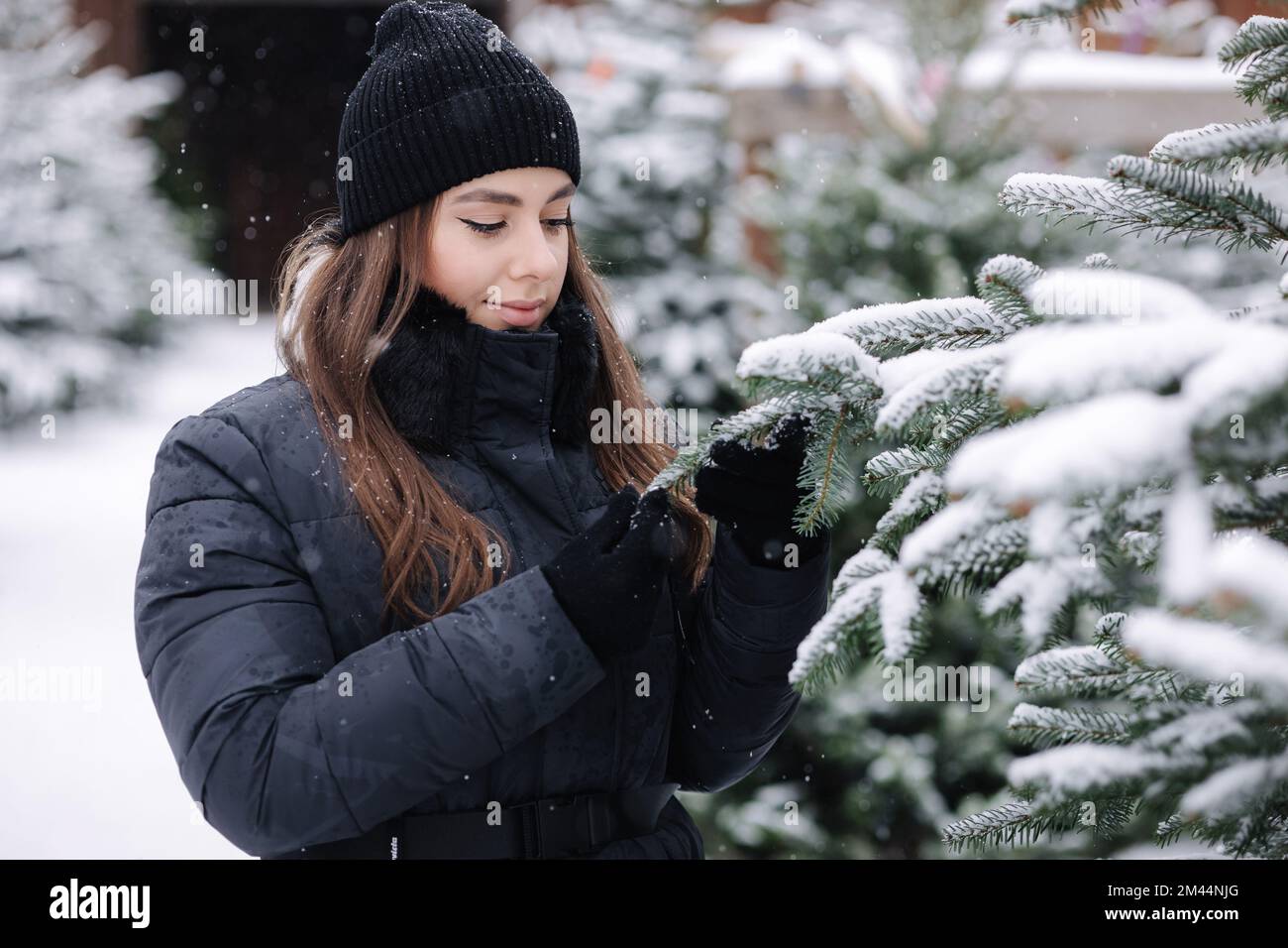 Attractive young woman choose Chrisstmas tree on outdoor trees farm. Woman smell fir tree Stock Photo