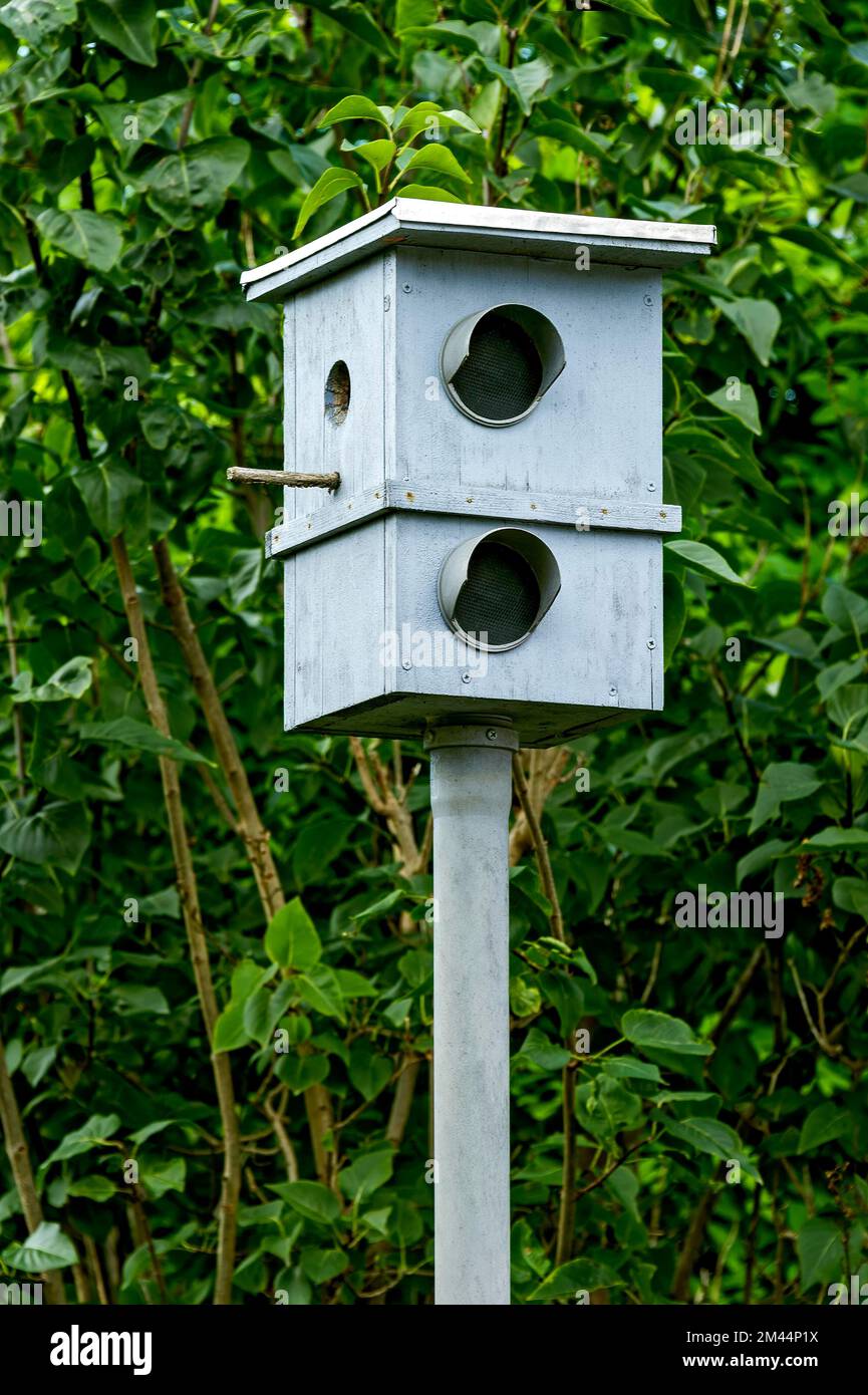 Dummy speed camera as a deterrent, bird house, radar system with camera for speed measurement, speed camera, speed camera, speed control, traffic Stock Photo